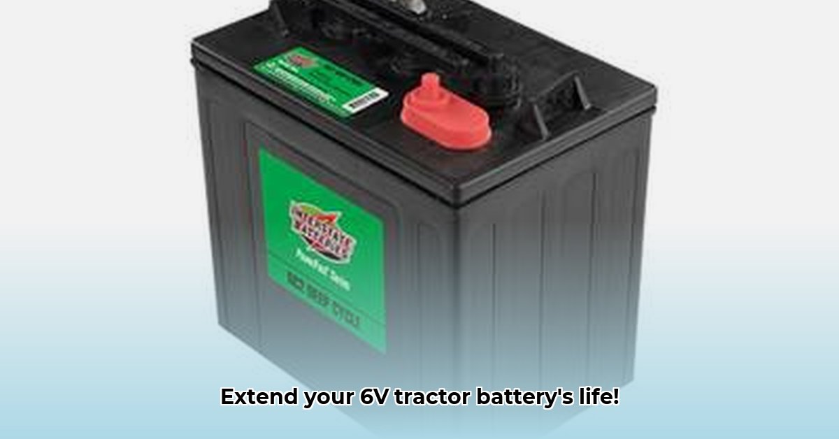interstate-6-volt-tractor-battery